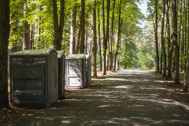 Trusted Hillsboro, IL porta potty rental Experts